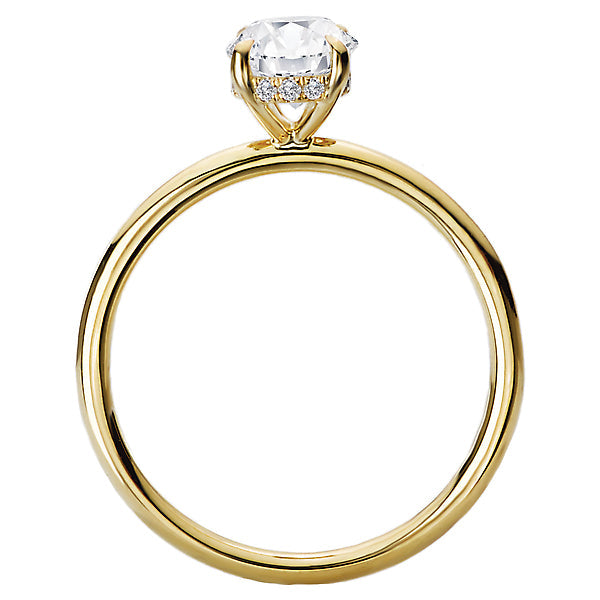 Oval Diamond Hidden Halo Engagement Ring