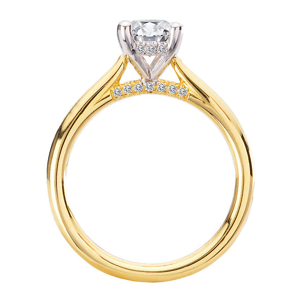 Oval Hidden Halo Semi-Mount Diamond Engagement Ring