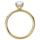 Oval Diamond Hidden Halo Engagement Ring