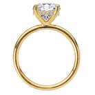 Round Diamond Hidden Halo Engagement Ring