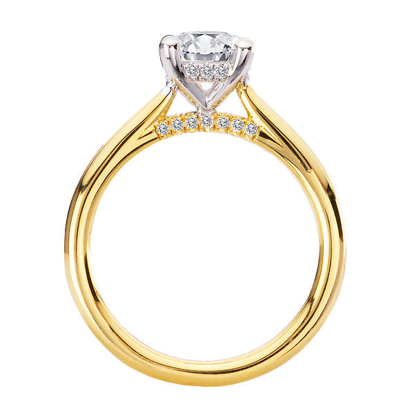 Round Hidden Halo Semi-Mount Diamond Engagement Ring