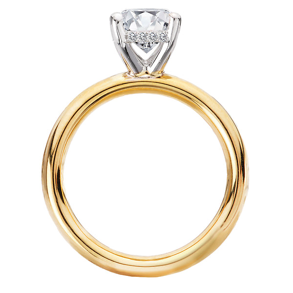 Oval Hidden Halo Semi-Mount Diamond Engagement Ring