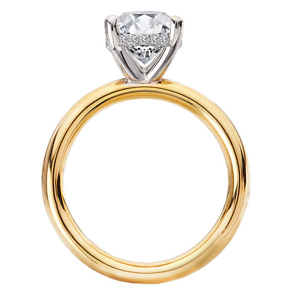 Oval Hidden Halo Semi-Mount Diamond Engagement Ring