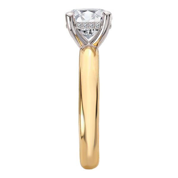 Round Hidden Halo Semi-Mount Diamond Engagement Ring